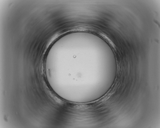 X0000099441083200805090743