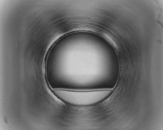 X0000099441084200805090743