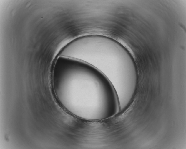 X0000099441085200805090743