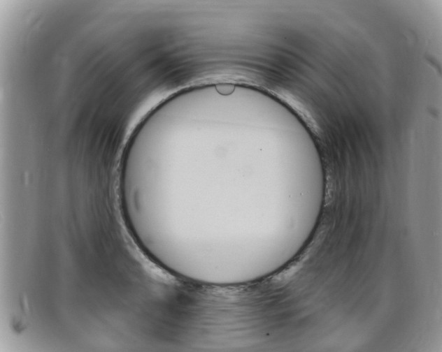X0000099441086200805090743