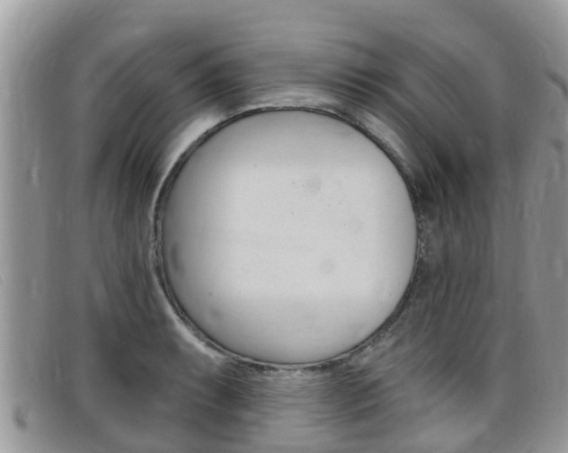 X0000099441087200805090743