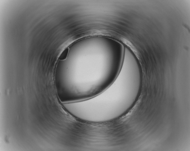 X0000099441089200805090743