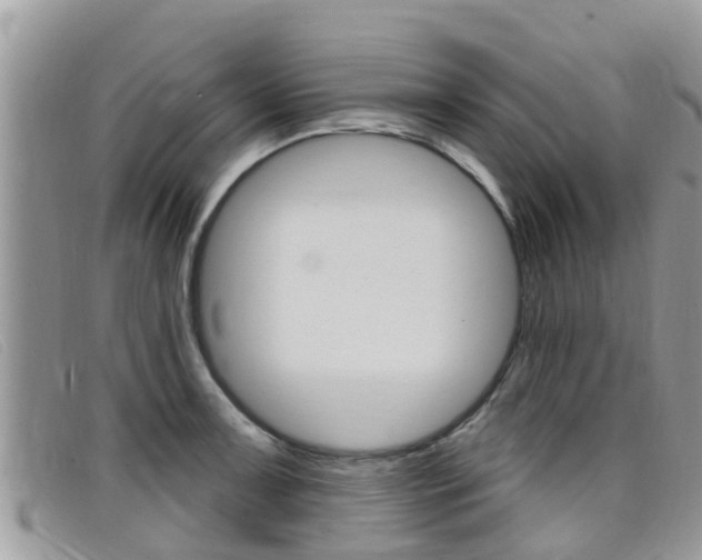 X0000099441091200805090743