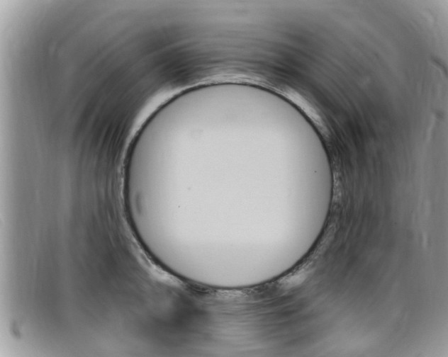 X0000099441094200805090742