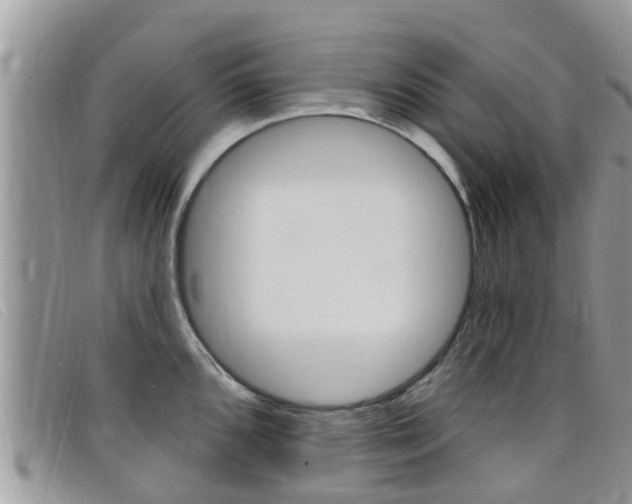 X0000099441096200805090742
