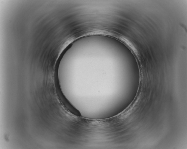X0000099441097200805090742