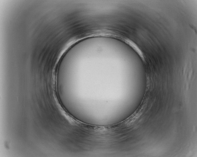 X0000099441099200805090742