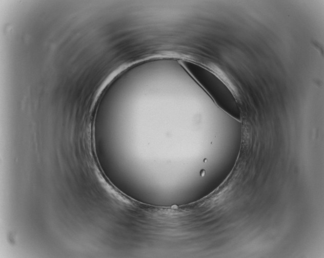 X0000099441100200805090742
