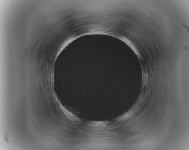 X0000099441101200805090742