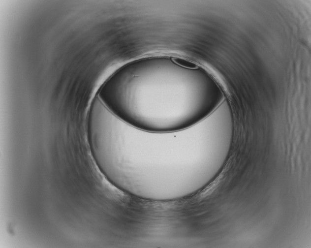 X0000099441102200805090742