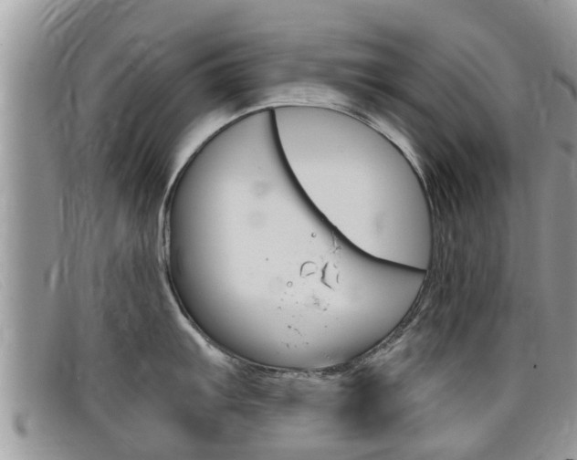X0000099441103200805090742