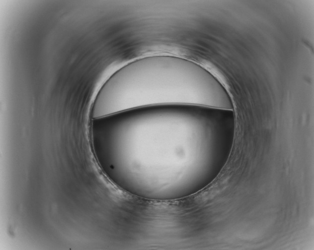 X0000099441104200805090742