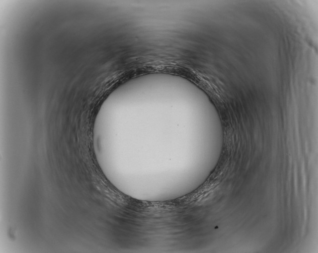 X0000099441105200805090742