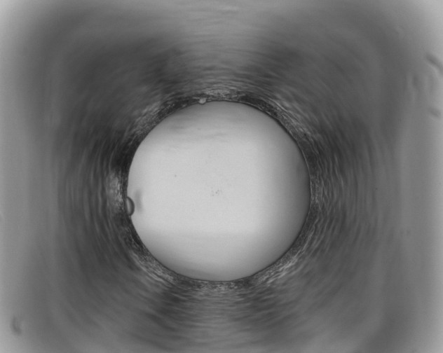 X0000099441106200805090742