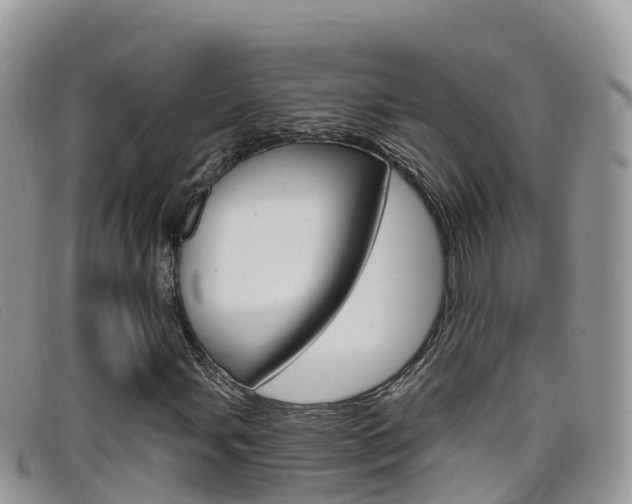 X0000099441107200805090742