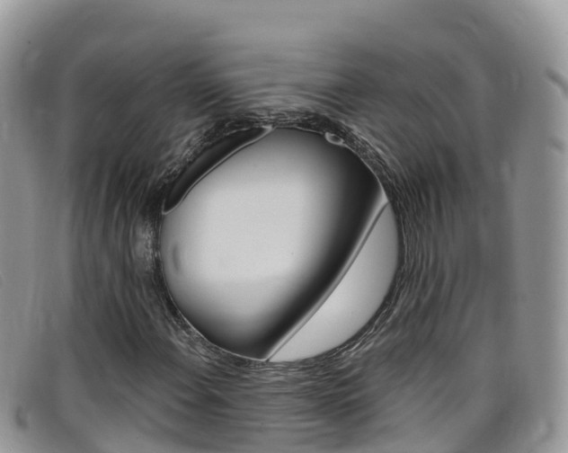 X0000099441108200805090742