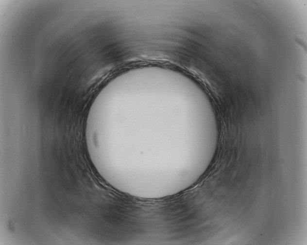 X0000099441110200805090742