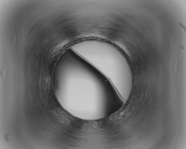 X0000099441111200805090742