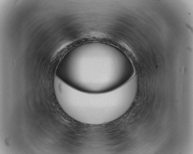 X0000099441112200805090742