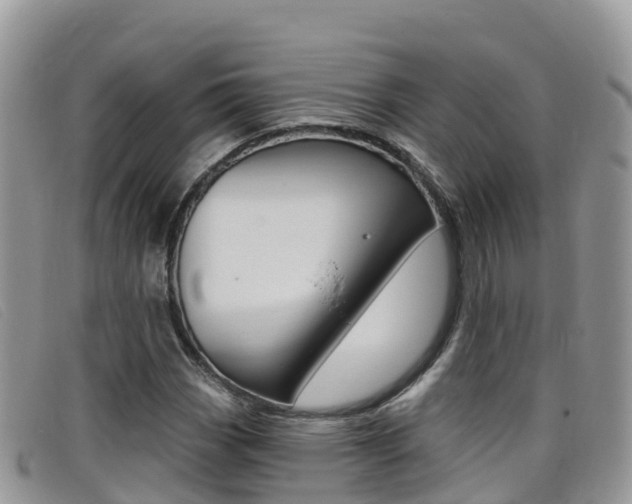 X0000099441113200805090742