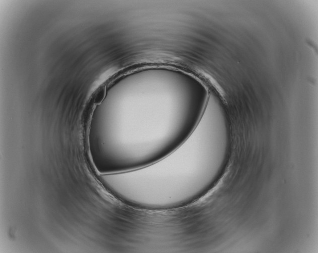 X0000099441114200805090742
