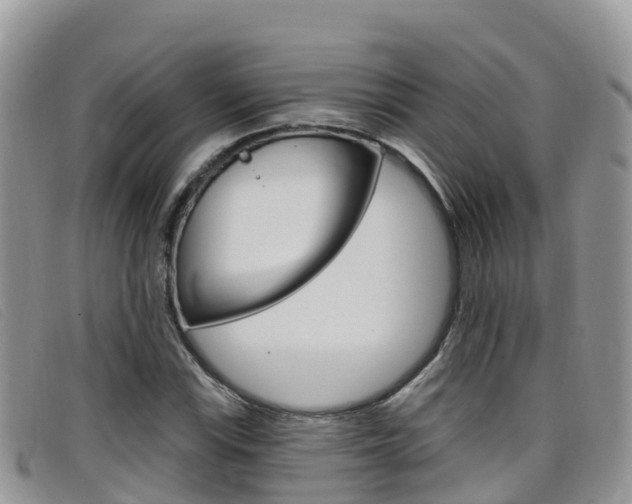 X0000099441115200805090742
