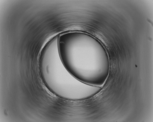 X0000099441116200805090742
