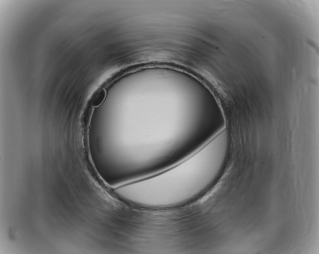 X0000099441118200805090742