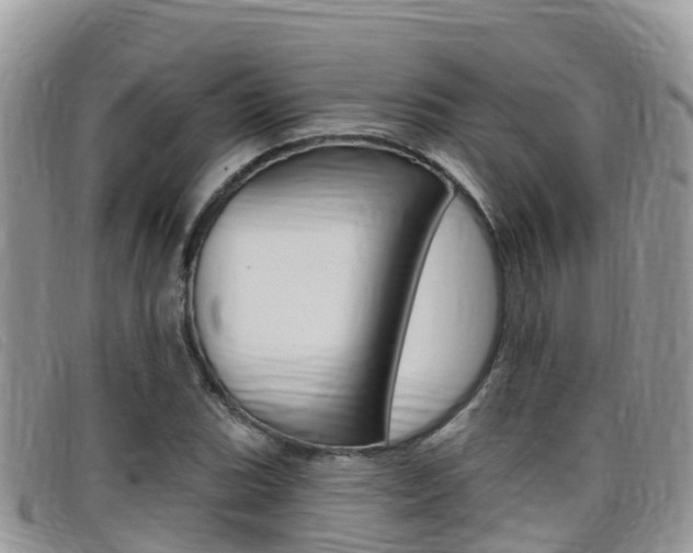X0000099441119200805090742