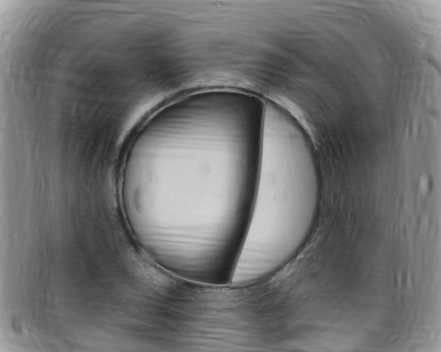 X0000099441120200805090742