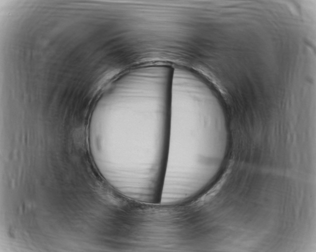 X0000099441121200805090742