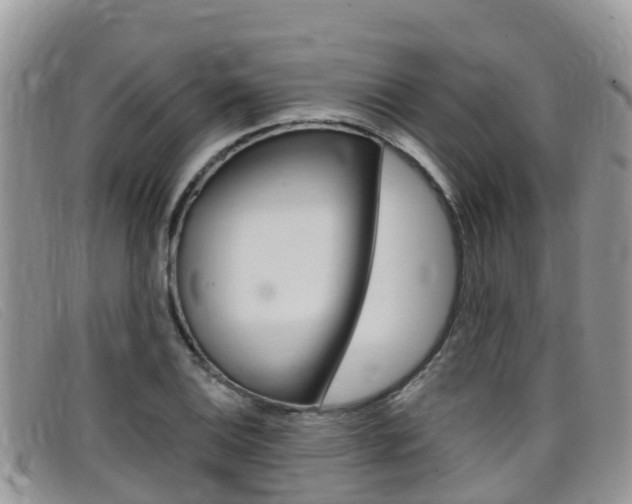 X0000099441124200805090742