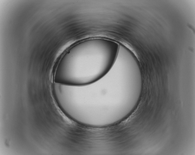 X0000099441127200805090742
