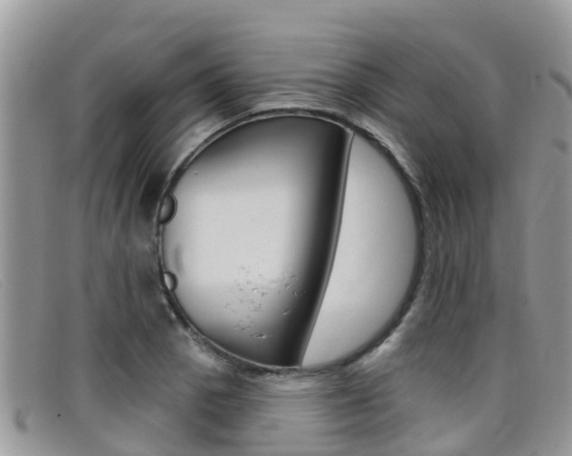 X0000099441129200805090742