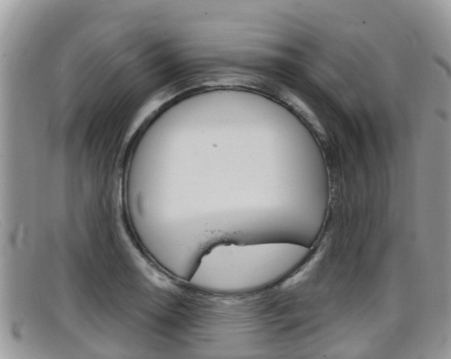 X0000099441130200805090742