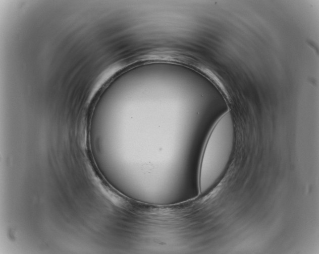 X0000099441131200805090742