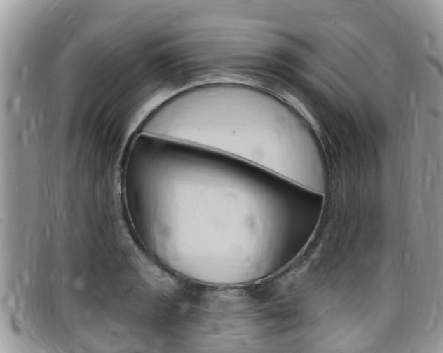 X0000099441133200805090742