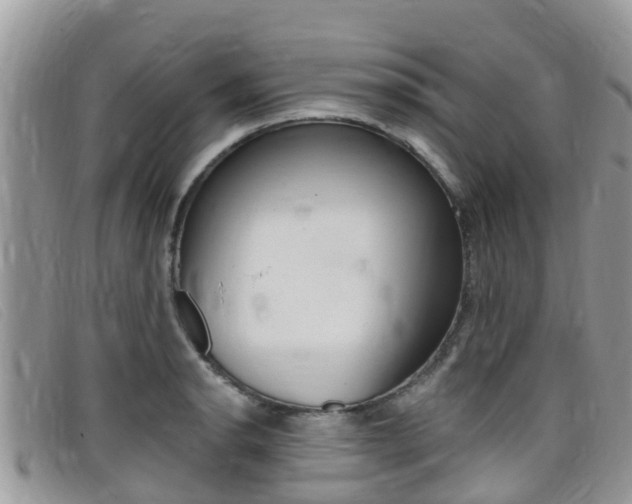 X0000099441134200805090742