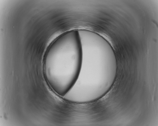 X0000099441135200805090742