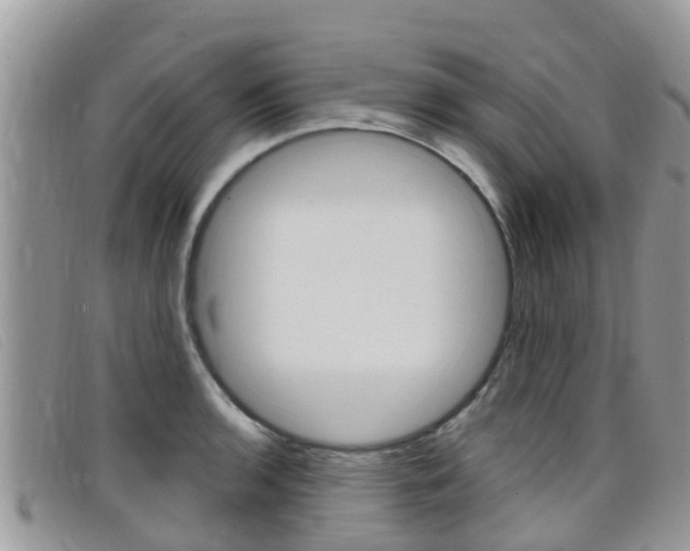 X0000099441136200805090742