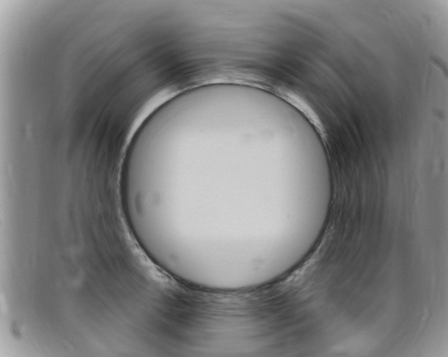 X0000099441138200805090742