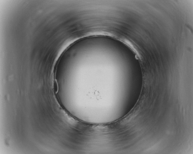 X0000099441140200805090742