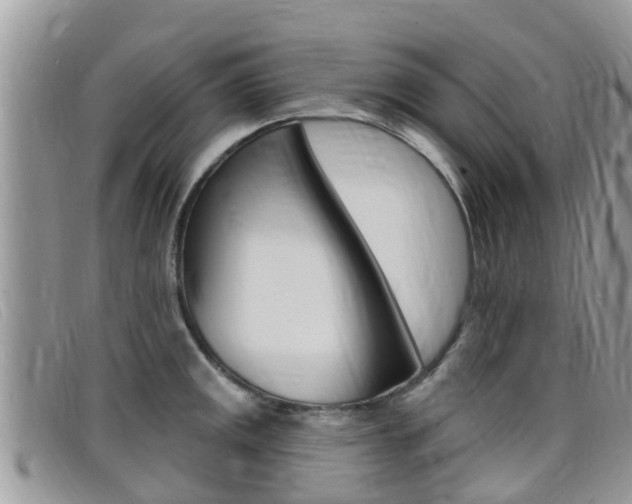 X0000099441141200805090742