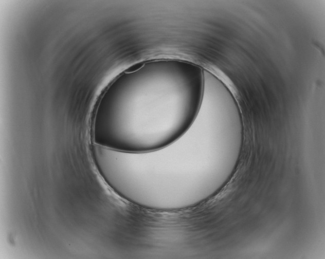 X0000099441144200805090742