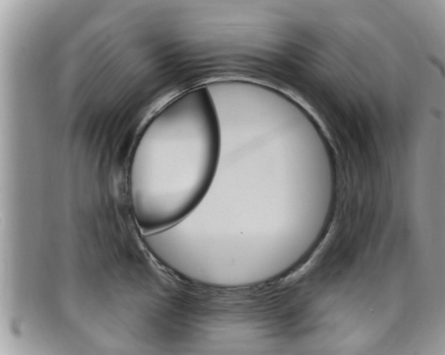 X0000099441145200805090742