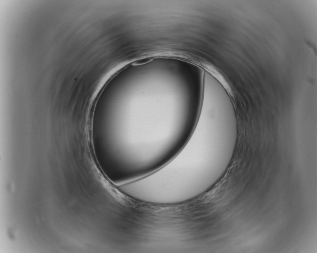 X0000099441148200805090742