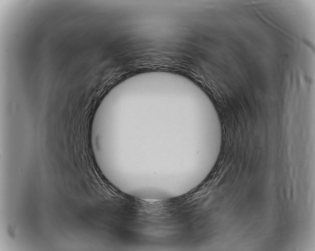 X0000099441153200805090742