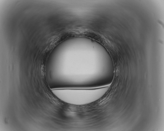X0000099441156200805090742