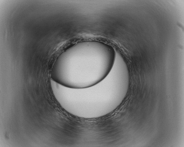 X0000099441157200805090742