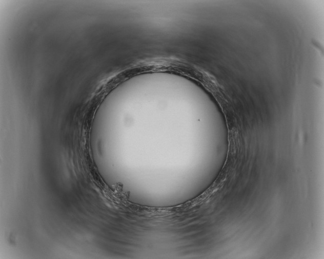 X0000099441158200805090742